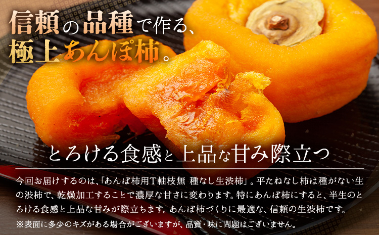 柿 かき あんぽ柿用 T軸枝無 種なし 生渋柿 1.5~2kg ふるさと農園《2026年10月中旬-11月上旬頃より発送予定(土日祝除く)》 和歌山県 日高町 贈り物 ギフト