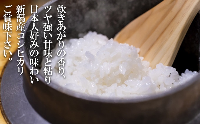 特別栽培米 新潟産コシヒカリ白米 10kg（5kg×2） お米 こしひ