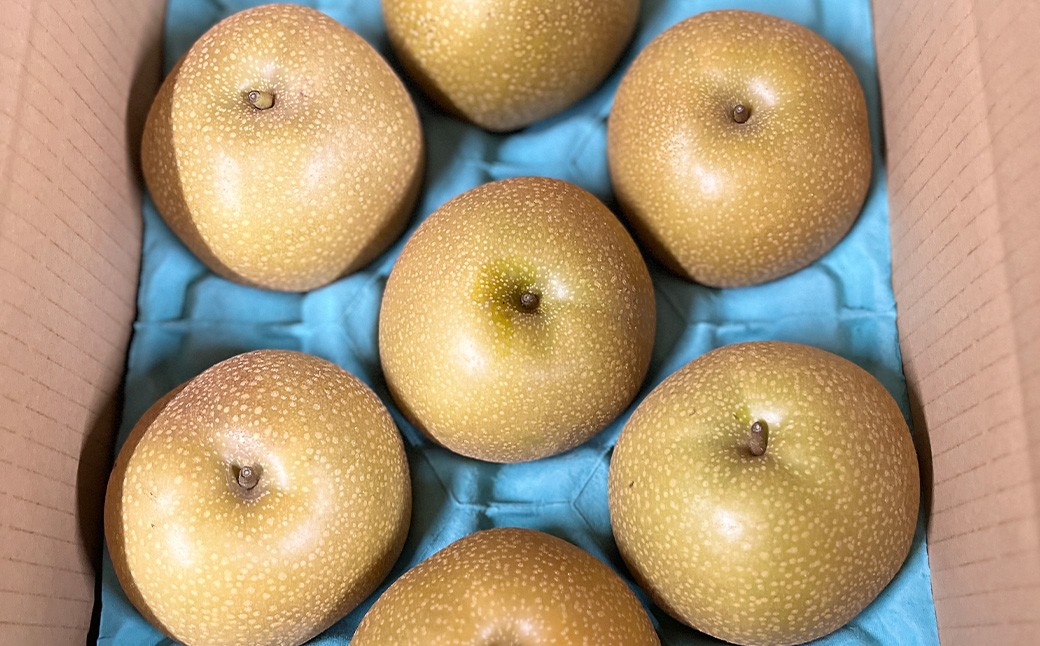 【ご家庭用】 九重町産 梨 詰め合わせ 約5kg （約11個～16個）