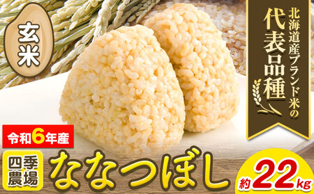 [2.7-195]　【令和6年産先行予約】玄米ななつぼし22kg 北海道 当別町