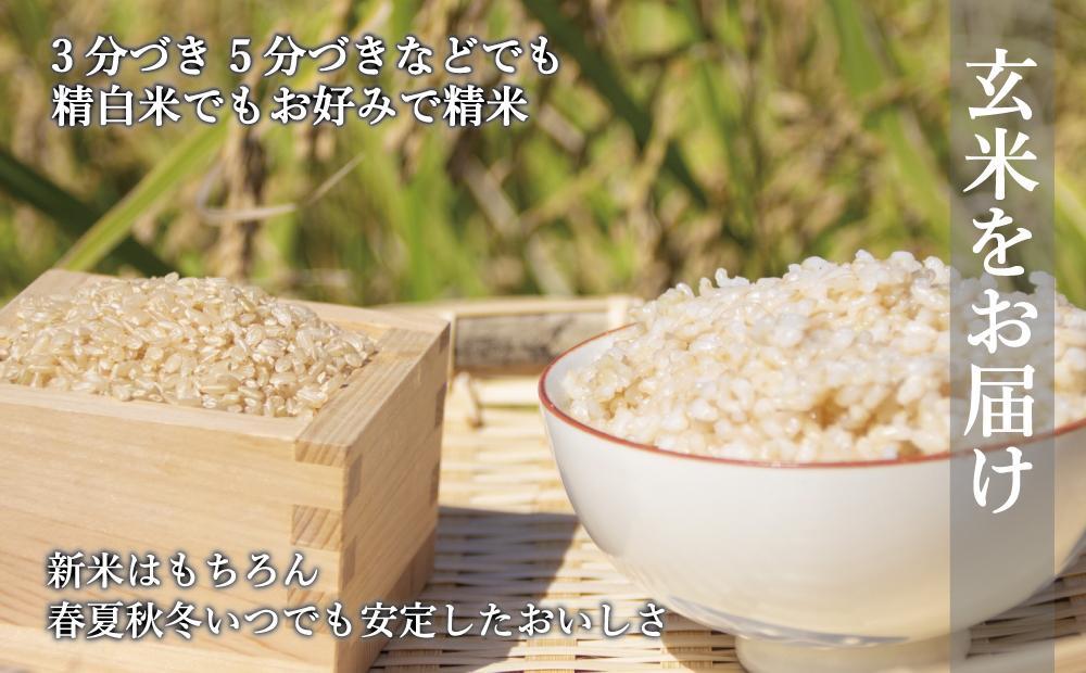 【令和6年度新米】玄米(特別栽培農産物)元気つくし 5kg×2袋 (計10kg)