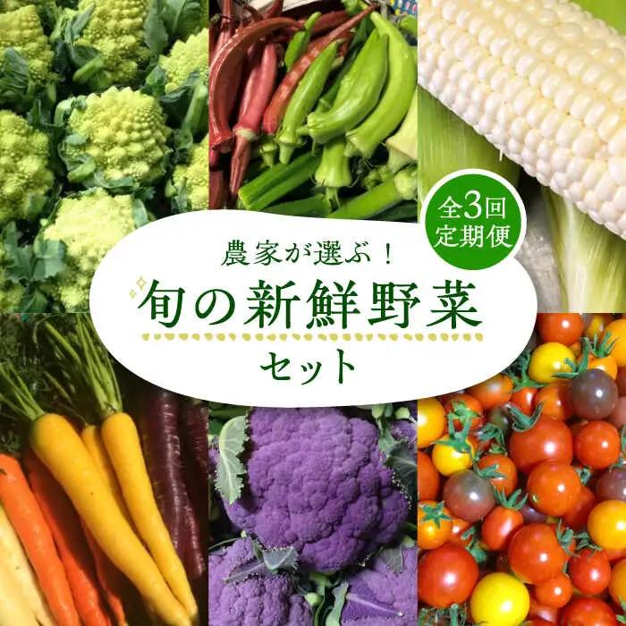 【全3回定期便】農家が選ぶ！ 旬の新鮮野菜セット[VBE008]産直 野菜 やさい 詰め合わせ