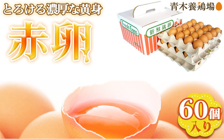 No.227 国産　赤卵　60個入 ／ 赤たまご 赤玉子 卵 たまご タマゴ 玉子 鶏卵 産みたて 新鮮 こだわり 上質 濃厚 卵焼き 卵かけご飯 国産 阿久比町産 愛知県 特産