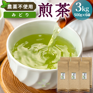 農薬不使用！煎茶 みどり 3kg 常磐園 白川茶 美濃白川茶 日本茶 緑茶 煎茶 茶葉 お茶 一番茶 春摘み リーフ 国産 大容量 岐阜県 東白川村 進物用 家庭用