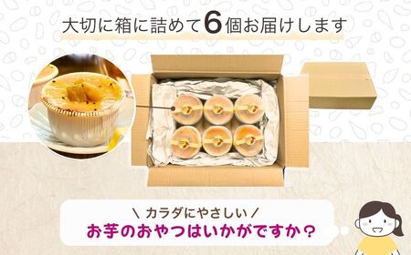 石焼き芋を食べているような超濃厚スイートポテト6個(合計750g)　紅はるか 干し芋 焼き芋 さつまいも スイートポテト シルクスイート スイーツ デザート 紅はるか 干し芋 焼き芋 さつまいも スイ