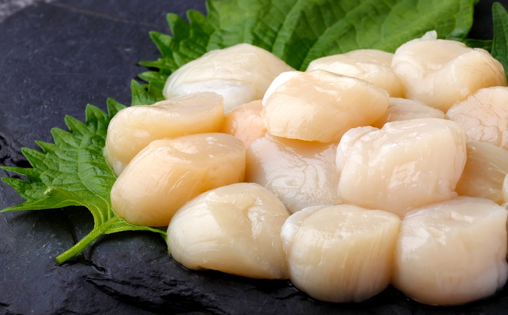 北海道産ホタテ貝柱冷凍500g×2