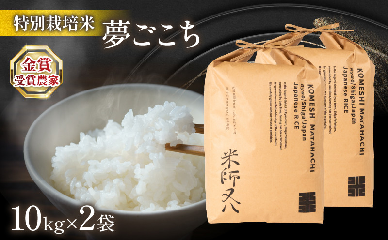 
令和6年産 新米 夢ごこち 20kg (10kg × 2袋 2024年産 ブランド 米 rice 精米 白米 ご飯 内祝い 十六代目米師又八 謹製 もちもち 国産 送料無料 滋賀県 竜王 ふるさと納税 )
