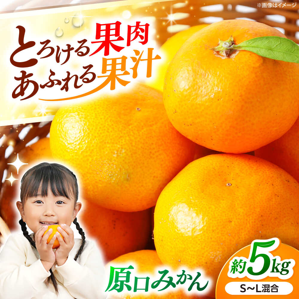 【ふるさと納税】【11月中旬より発送予定】みかんドーム特選 原口みかん 約5kg ＜道の駅さいかい みかんドーム＞[CAI039] 長崎 西海 みかん 蜜柑 ミカン 柑橘 温州みかん 果物 フルーツ 贈答 ギフト