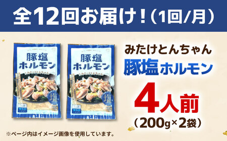 【12回定期便】岐阜県産豚もつの鉄板焼き「元祖みたけとんちゃん」豚塩味（4人前） / モツ もつ 白もつ ホルモン / 御嵩町 / 藤よし[AVAA060]