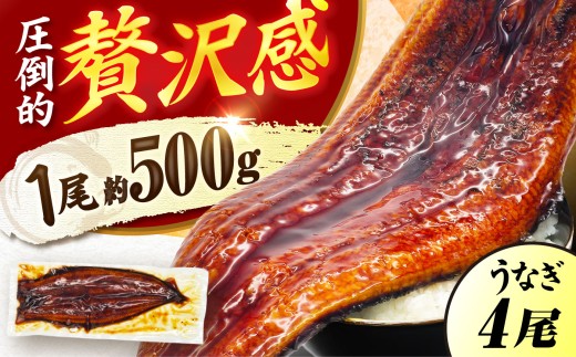 【1尾約500g】超特大うなぎ蒲焼×4尾　広川町 / 株式会社イールファクトリー [AFBS034]