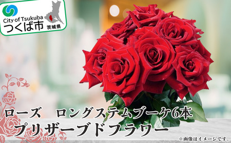プリザーブドフラワー ローズ ロングステムブーケ(プリザーブドフラワー) 