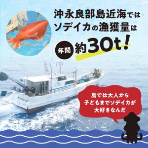 【W022-028u】冷凍保存ＯＫ！エメラルドブルーの美しい海で育ったおいしいソデイカ冷凍ブロック約500グラム（１～２人前）！