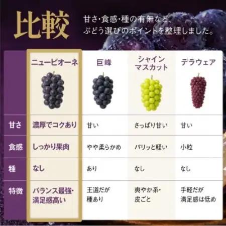 星乃ピオーネ 3房～5房(2kg以上)【配送不可地域：離島】【1740015】