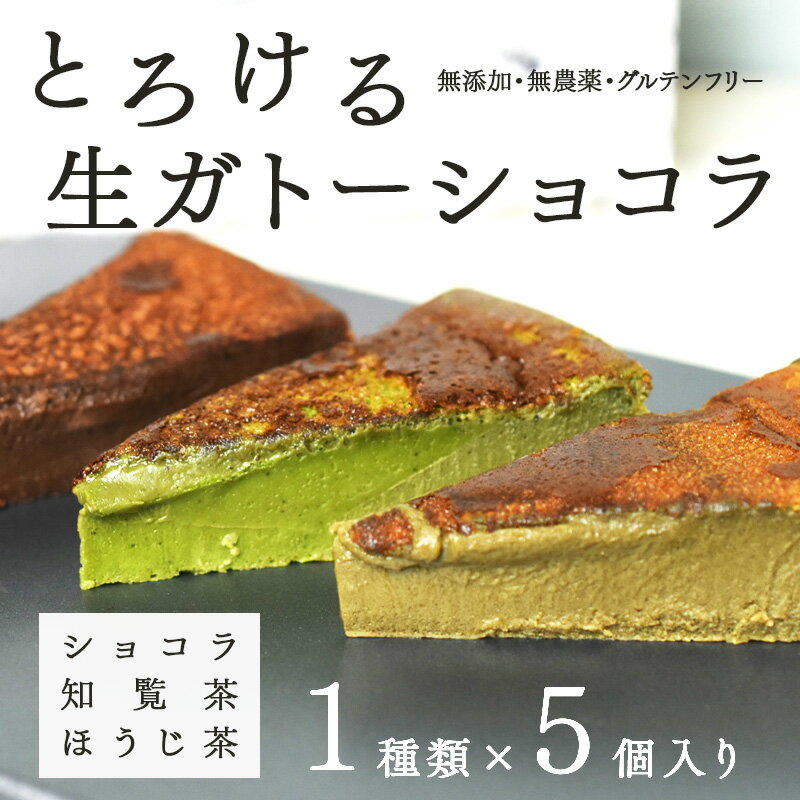 【ふるさと納税】【選べる種類！】"とろける生ガトーショコラ" 5個入り 無添加・無農薬・グルテンフリー [A-09202] / 無添加 無農薬 ガトーショコラ チョコレート グルテンフリー 生チョコ ケーキ 洋菓子