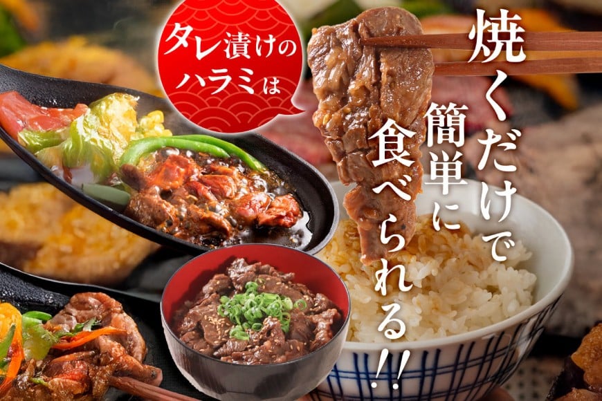 牛肉 焼肉 国産 特製たれ漬 牛ハラミ サガリ 750g [宇美ホルモン 福岡県 宇美町 um40azp100004] ハラミ はらみ 牛はらみ 小分け 個包装 牛 肉 焼き肉 ホルモン タレ漬け た