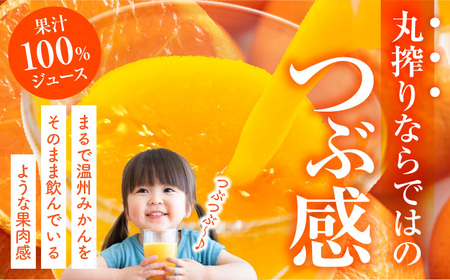 【定期便】宮崎県産 まる搾りみかんジュース 1,000ml×3本(毎月1回 12ヶ月) みかん 温州みかん みかんジュース まる搾り β-クリプトキサンチン 機能性表示食品 果肉感 つぶつぶ