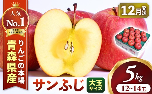 【2026年産・先行予約】★2026年12月中旬～12月下旬頃発送予定★ りんご【サンふじ】約5kg（12～14玉・大玉サイズ） 青森県三戸町産 アップル 林檎 フルーツ 果物 果実 青森県産 三戸 贈答 ギフト プレゼント 産地直送 農家直送 送料無料  青森県三戸町 AK-25-078