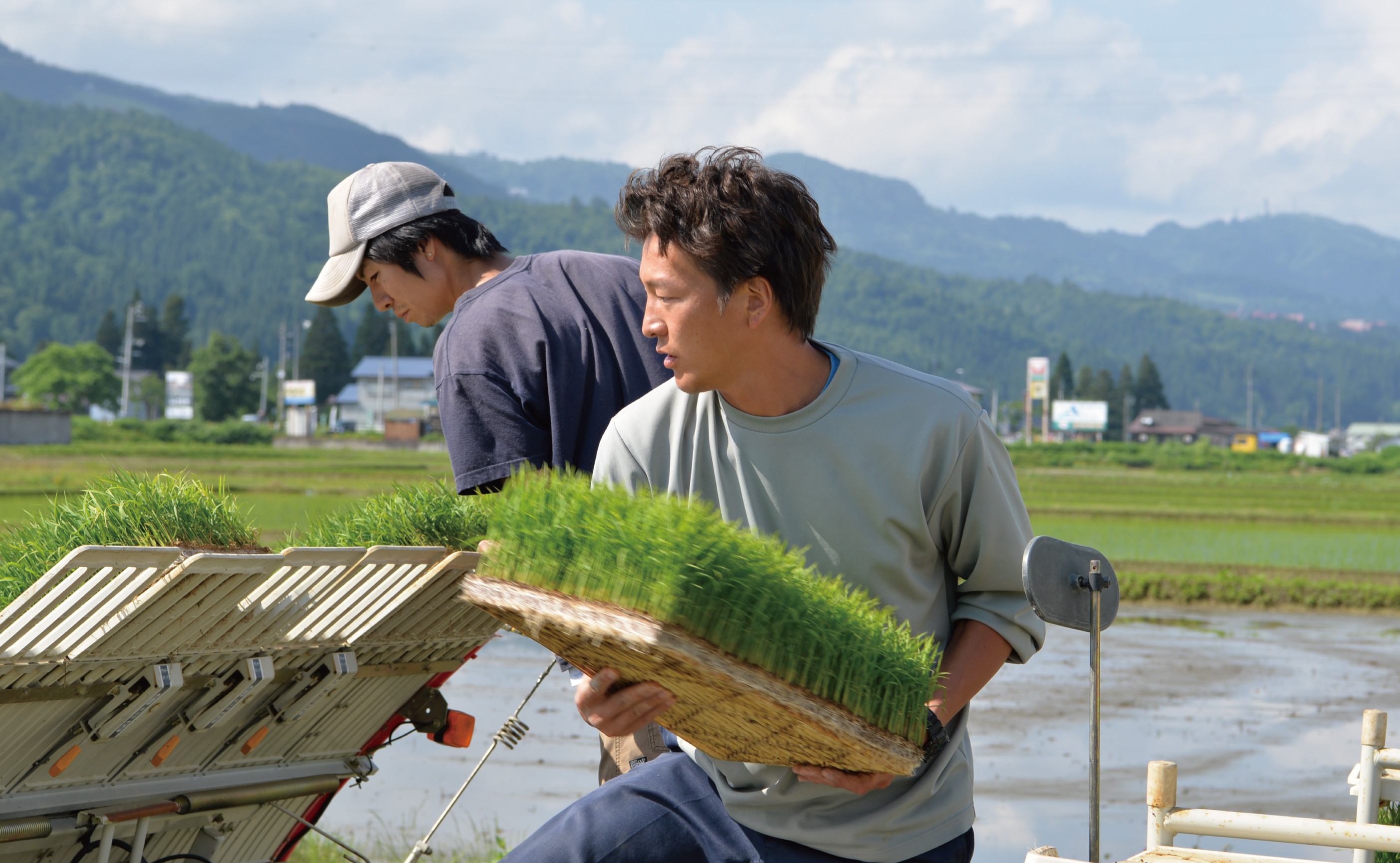 【令和7年産】関智晴がつくる南魚沼塩沢産コシヒカリ20kg（5kg×4個） 減農薬栽培米【銘柄米 ブランド米 精米 こしひかり コシヒカリ 魚沼産 新潟米 産地直送 お米 米 こめ コメ ご飯 御飯 