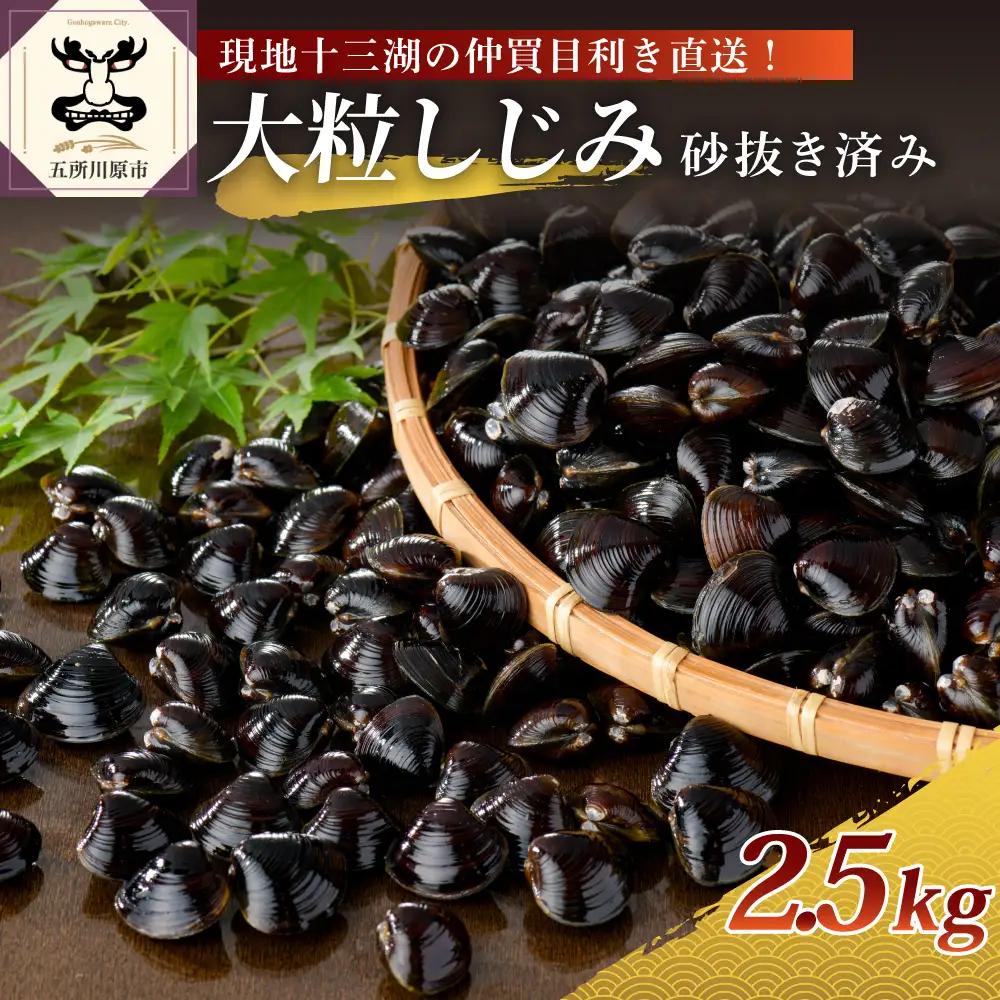しじみ 2.5kg 大粒大和しじみ（冷凍）砂抜き済 十三湖