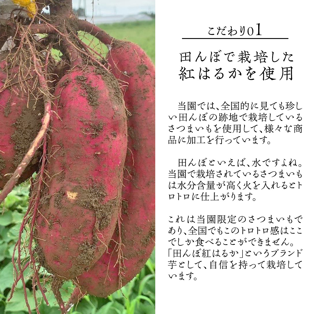 「田んぼ 紅はるか」で焼く、まるでアイスのような焼き芋 1kg(個包装) 冷凍 焼き芋 芋 さつまいも おやつ スイーツ 茨城 庄七農園 [BK28-NT]_イメージ2
