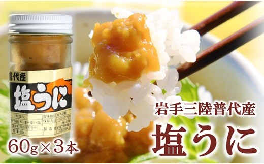 三陸水産 普代産 塩うに 60ｇ 瓶詰 ３本 ミョウバン不使用 無添加 雲丹 uni ウニ 冷凍 うに 瓶