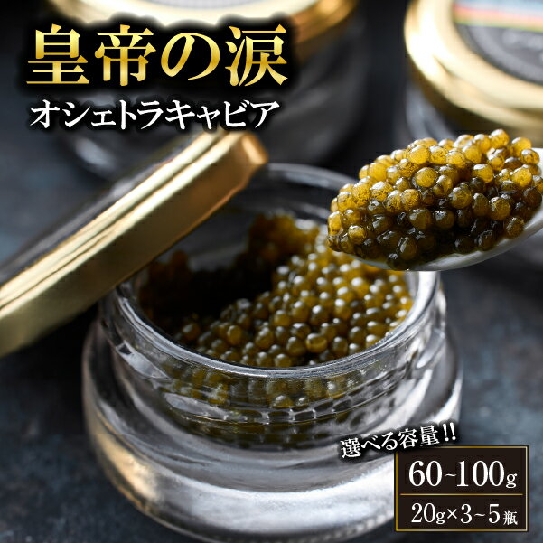 【ふるさと納税】【選べる内容量】【純国産キャビア】オシェトラキャビア 60g~100g 皇帝の涙 国産 チョウザメ 魚卵 オシェトラ チョウザメの卵 国産キャビア キャビア ふるさと 人気 おすすめ 贈答 ギフト お裾分け プレゼント 宮崎県 小林市 送料無料