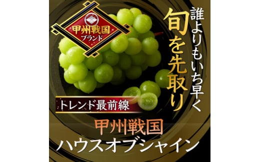 ＜今だけしか食べれない＞最高糖度20度オーバー贈答ハウスオブシャインマスカット2026年6月上旬発送【1494212】