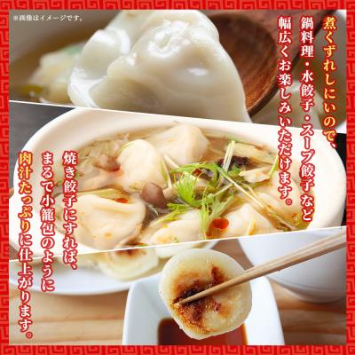 ふるさと納税 西予市 <愛媛のおいしい餃子セット2種セット 合計100個浅野食品> |  | 02