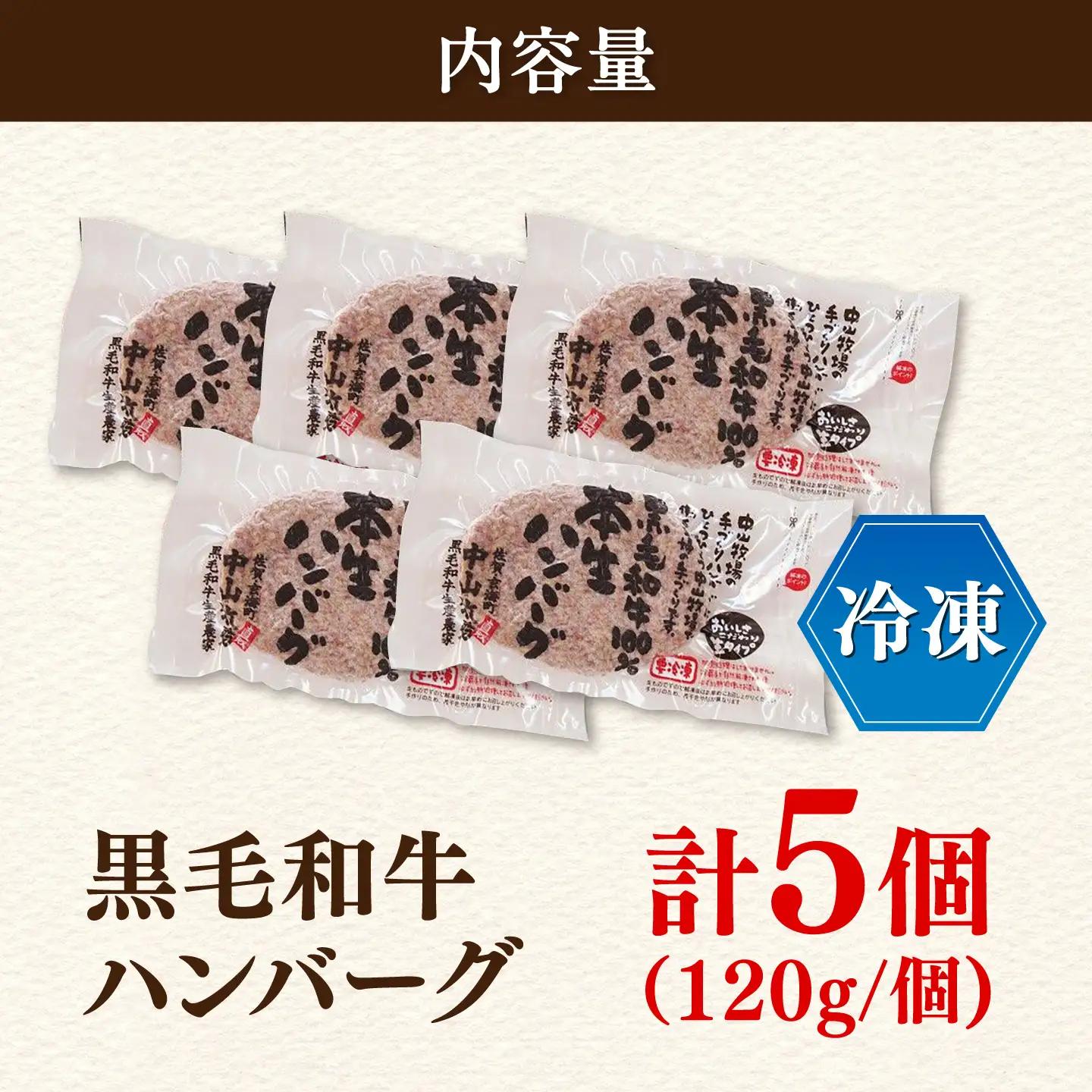 国産黒毛和牛本生ハンバーグ 計600g（120g×5個） / 佐賀県 / 株式会社中山牧場 [41AOCW004]