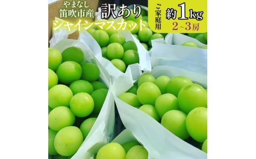 【2026年発送★先行予約】山梨県笛吹市産 シャインマスカット 優等品 約1kg 2～3房 【ご家庭用】 105-025-26y