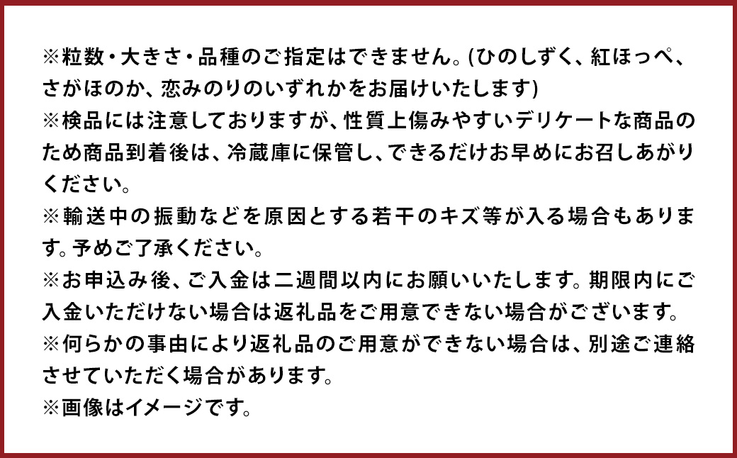 益城産 いちご 500g×1パック 贈答箱入り 【2027年1月上旬-2月下旬発送予定】