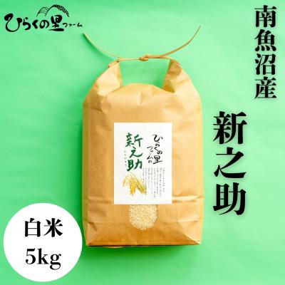 ふるさと納税 南魚沼市 【R8年産新米予約】きらめく大粒!ひらくの里ファームの南魚沼産新之助　白米5kg