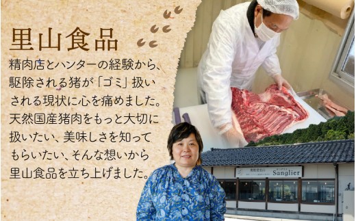 奥能登 穴水町産 天然 猪肉 ヒレ コロコロカット（約500g）