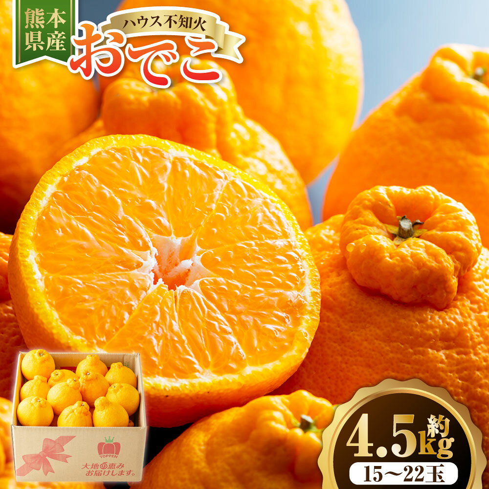 【ふるさと納税】ハウス不知火おでこ 計4.5kg 15～22玉 不知火 みかん ミカン 蜜柑 柑橘 かんきつ フルーツ くだもの 果物 果実 デザート ハウス栽培 ギフト 贈答 贈り物 国産 九州 熊本県 送料無料 【2026年12月上旬発送開始】