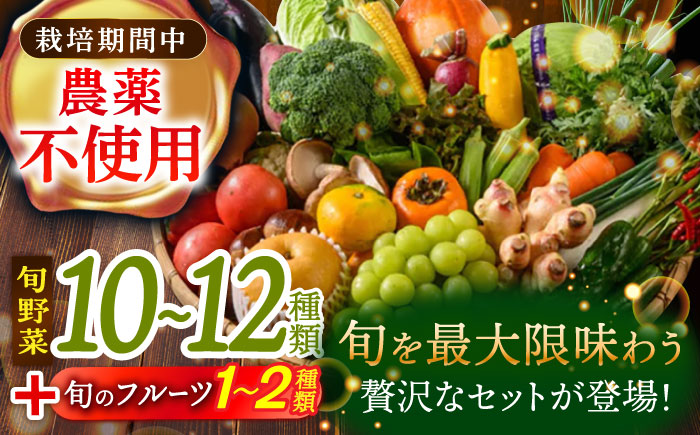 【全6回定期便】栽培期間中農薬不使用！旬のお野菜セット×もぎたてフルーツセット　愛媛県大洲市/有限会社ヒロファミリーフーズ [AGBX007]野菜 サラダ カレー トマト 料理  きゅうり 鍋 とうも