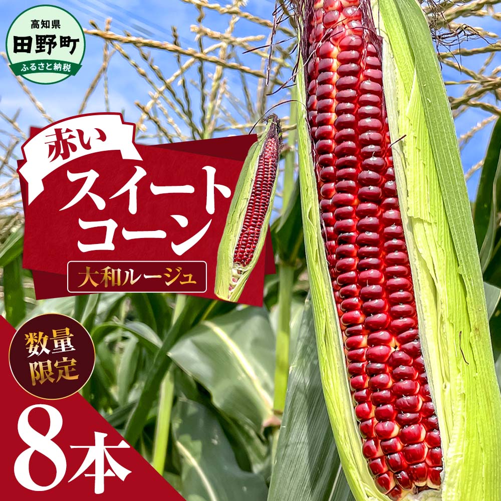 【ふるさと納税】赤いスイートコーン 大和ルージュ 8本 とうもろこし トウモロコシ 2025年6月中旬頃より発送開始予定 数量限定 コーン 新鮮 野菜 蒸し 焼き おいしい 甘い 生鮮食品 赤い 国産 お取り寄せ 冷蔵配送 高知県 故郷納税 8000円 赤いトウモロコシ