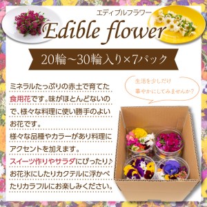 【B1-129】食べられる綺麗なお花　エディブルフラワー