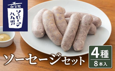 【自家製ソーセージハム男】ソーセージ8本セット