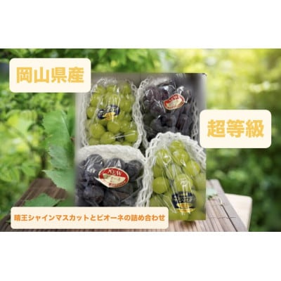 ピオーネ2房とシャイン2房　2kg箱【配送不可地域：離島・北海道・沖縄・東北・関東・信越、北陸】【1644112】