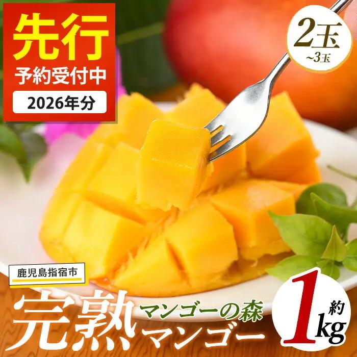 【2026年発送】しあわせ 完熟 マンゴー 2～3玉入 マンゴーの森 IB040-001 マンゴー フルーツ 果物