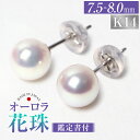 【ふるさと納税】花珠 あこや真珠 7.5-8.0mm 鑑定書付 ピアス K14WG パール 真珠 ジュエリー フォーマル アクセサリー 長崎 国産 九州 長崎県 長崎市 送料無料