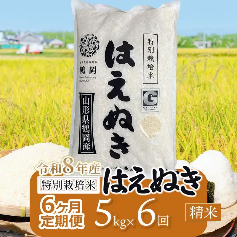 【令和8年産 新米】 特別栽培米はえぬき 精米 5kg (5kg×1袋)×6ヶ月【定期便】　鶴岡協同ファーム