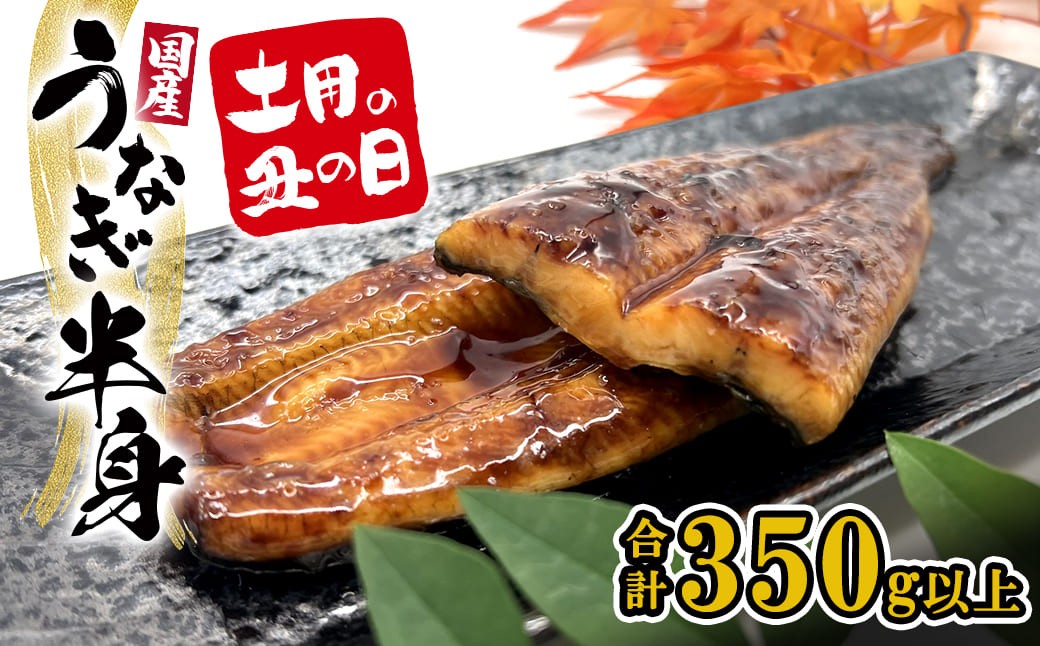 
                  【国産うなぎ】 ハーフカット 6パック(3尾分/合計350g以上) タレ 山椒付 食べきり 人気 鰻楽 半身 新登場 手軽 便利 K2669
                