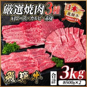 レビューキャンペーン中!飛騨牛　厳選焼肉3種(肩ロース・カルビ・赤身)計3kg(各500g×2)【配送不可地域：離島】【1669125】
