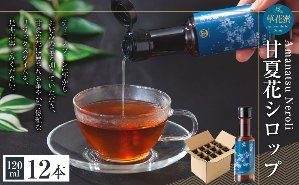 
            草花蜜 甘夏花シロップ 120ml 12本 （合計：1440ml） ／ 甘夏 あまなつ 甘夏花 シロップ しろっぷ 炭酸割り 水割り お湯割り 紅茶割り 緑茶割り 焼酎割り 焼酎 炭酸水 炭酸 割り物 リラックス 熊本県産 国産 熊本県 常温
          