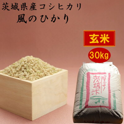 【ふるさと納税】茨城県産コシヒカリ風のひかり30kg(玄米)【1398974】