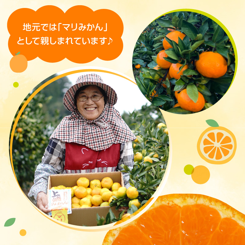 青島みかん 10kg N0132-YB351