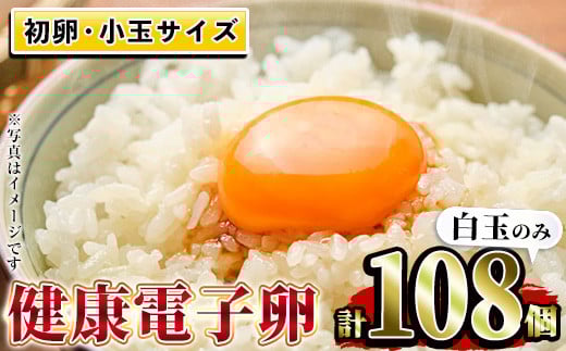 鹿児島県産！健康電子卵 初卵・白(計108個・54個入り×2枚) 国産 九州産 たまご タマゴ 玉子 生たまご 若鶏 若鳥 新鮮 鶏卵 小玉 パック 朝ごはん 卵かけごはん TKG おかず 卵焼き 割れ保障 安心 安全【峯元養鶏】【A-1827H】