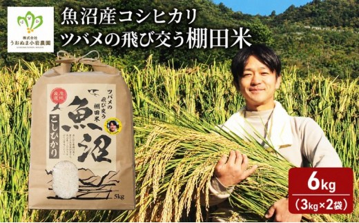 
                  令和8年産 新米 ツバメの飛び交う棚田米 精米6kg（3kg×2袋） お米 白米 ライス ご飯 ブランド米 銘柄米 コシヒカリ 魚沼産コシヒカリ 旨味 新潟県産 魚沼市産 
                