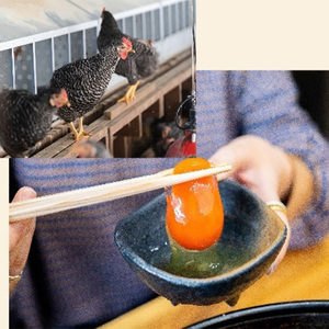 紀の国みかんどり 鶏すき焼きセット(B1100-1) 